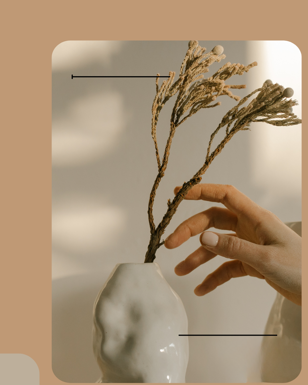 Home 11 Decoração refinada